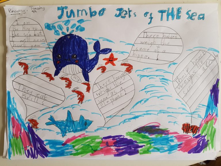 Whale Poster Example  768x576 